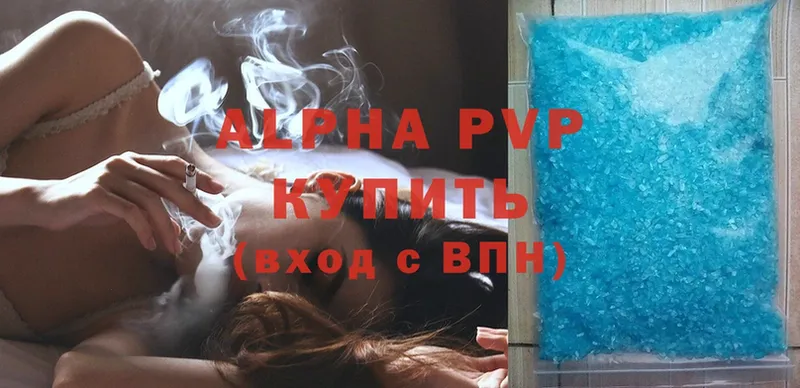 A PVP СК КРИС  Сыктывкар 